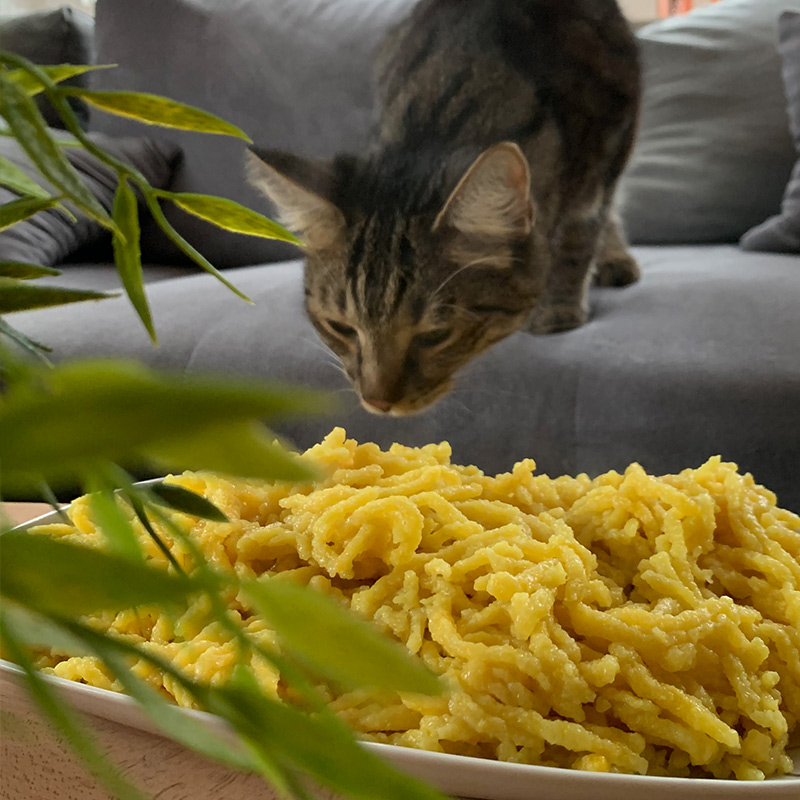 Vorschaubild des Rezepts